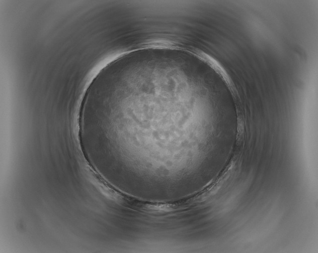 X0000113291435200909141154