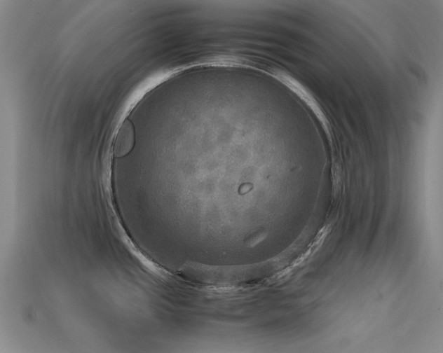 X0000113291437200909141154