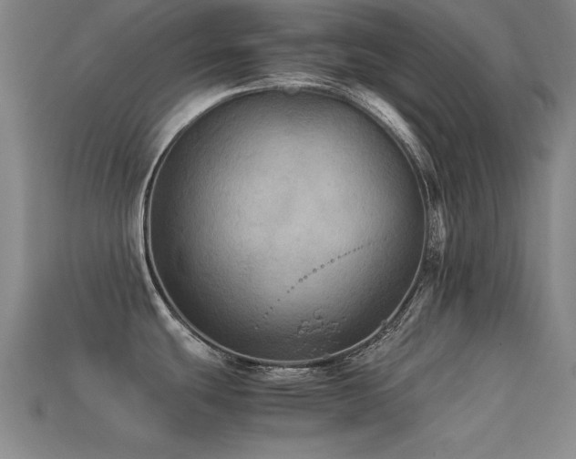 X0000113291439200909141154