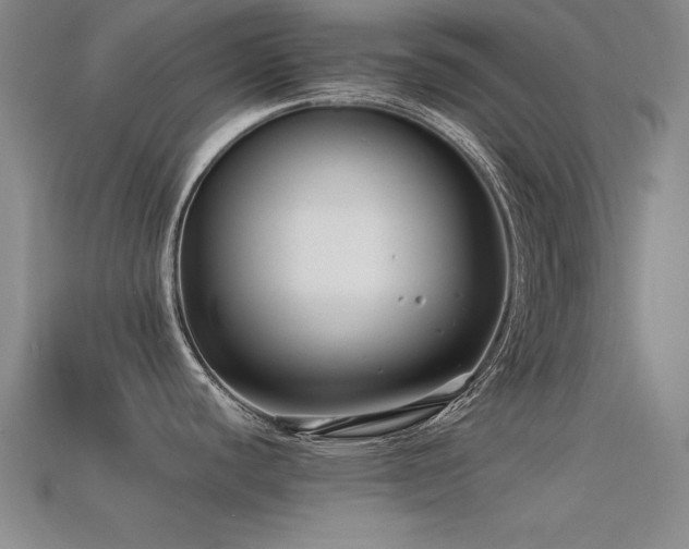 X0000113291440200909141155