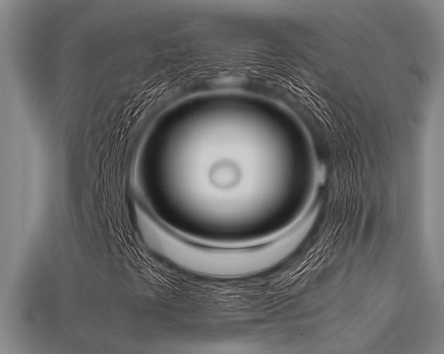 X0000113291441200909141154