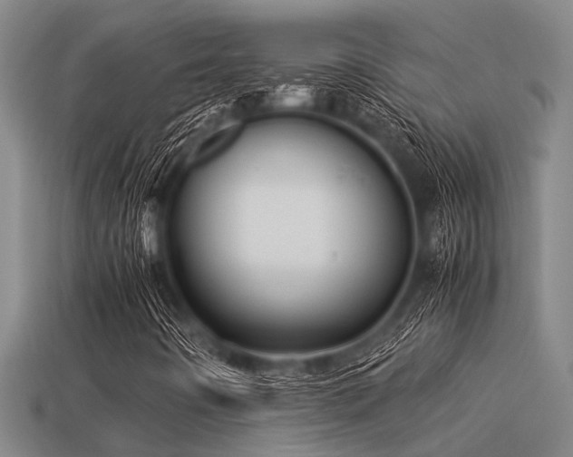 X0000113291442200909141154