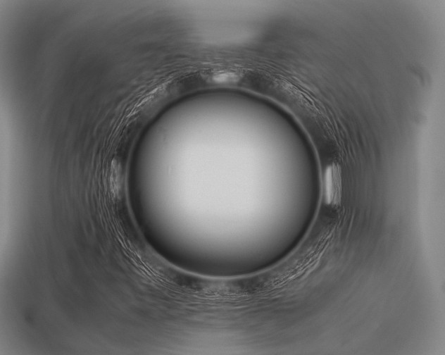 X0000113291443200909141154