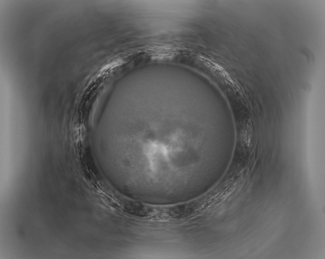 X0000113291445200909141154