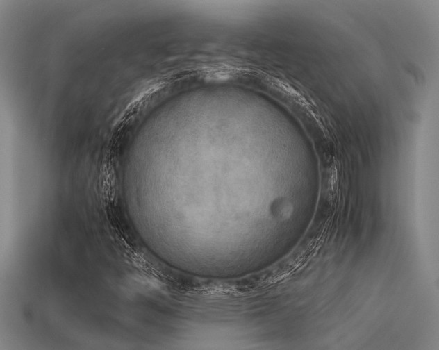 X0000113291446200909141154