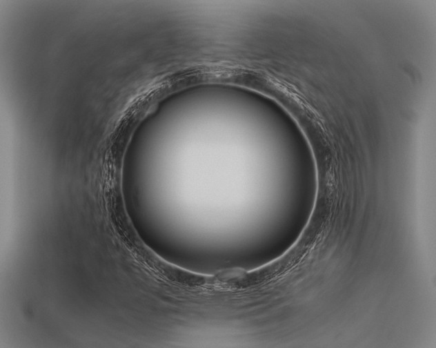 X0000113291447200909141154