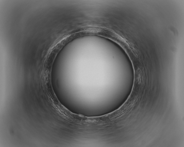 X0000113291448200909141154