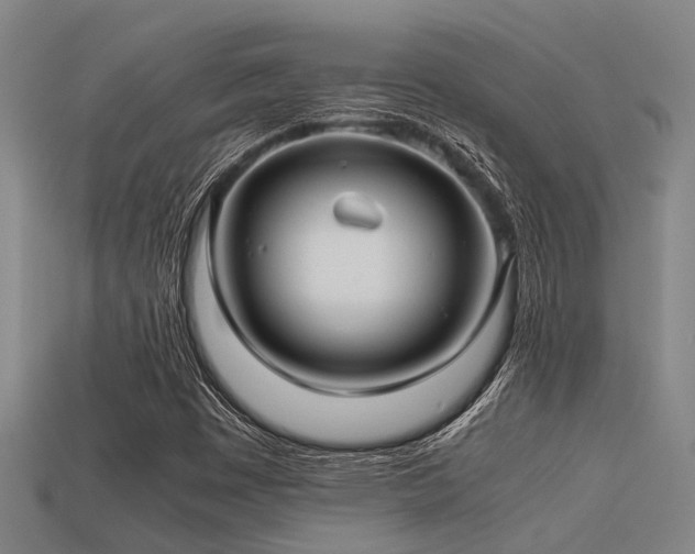 X0000113291449200909141154