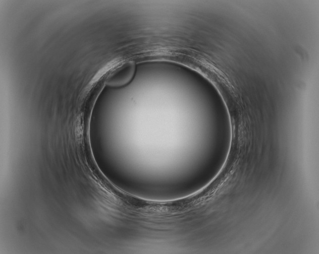 X0000113291450200909141154