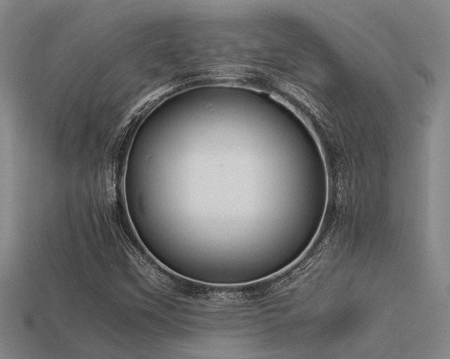 X0000113291451200909141154