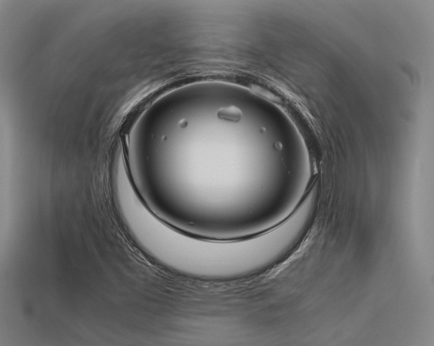 X0000113291453200909141154