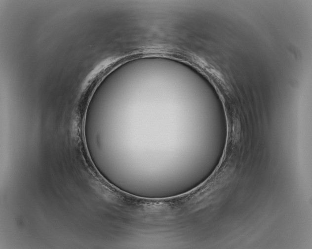 X0000113291454200909141154