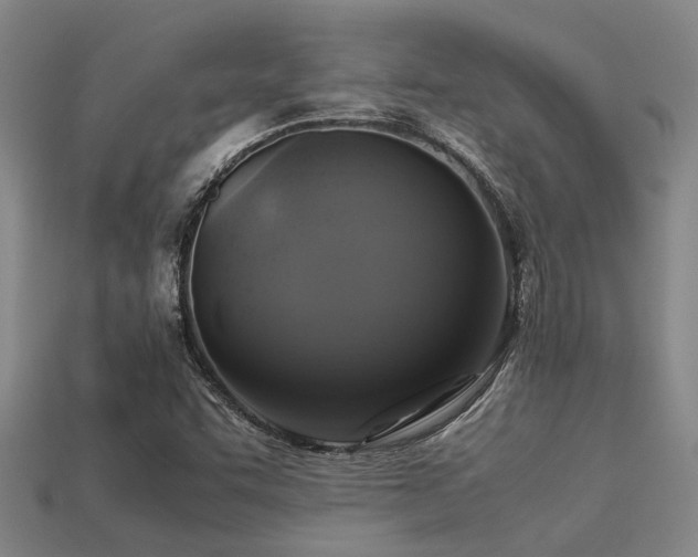 X0000113291455200909141154