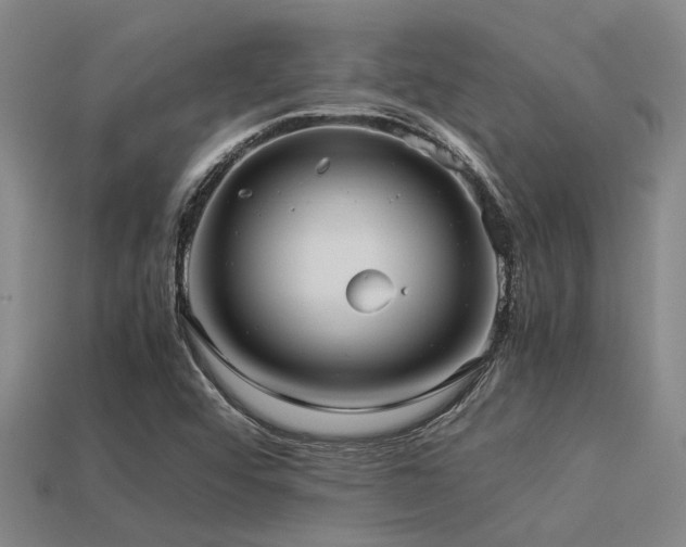 X0000113291456200909141154