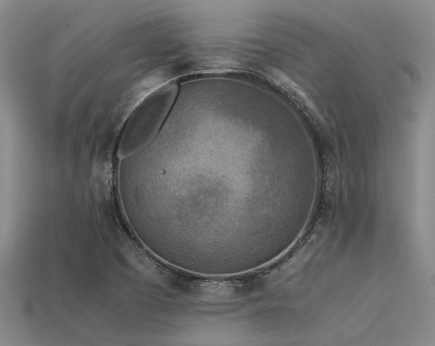 X0000113291457200909141154