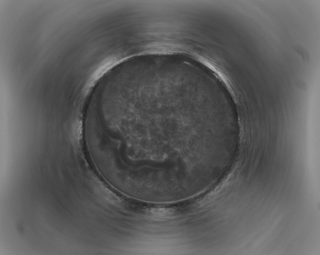 X0000113291459200909141154