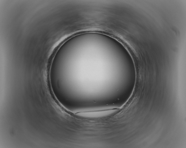 X0000113291460200909141154