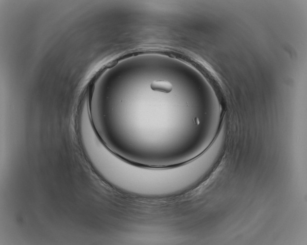 X0000113291461200909141154