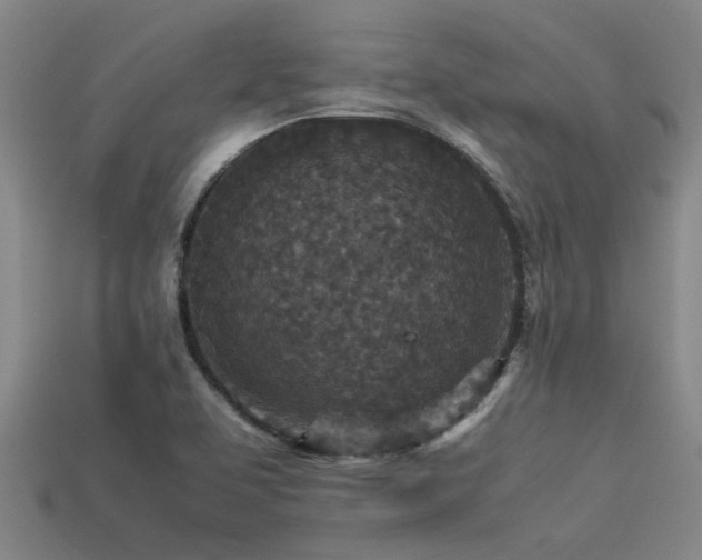 X0000113291463200909141154