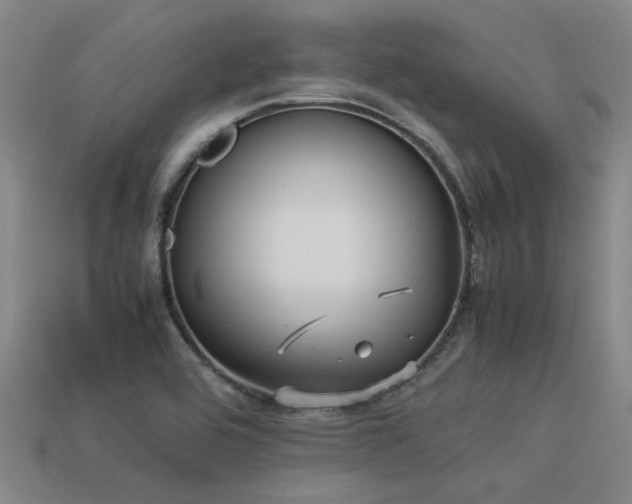 X0000113291464200909141154