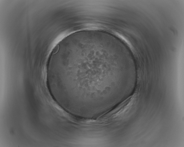 X0000113291467200909141154