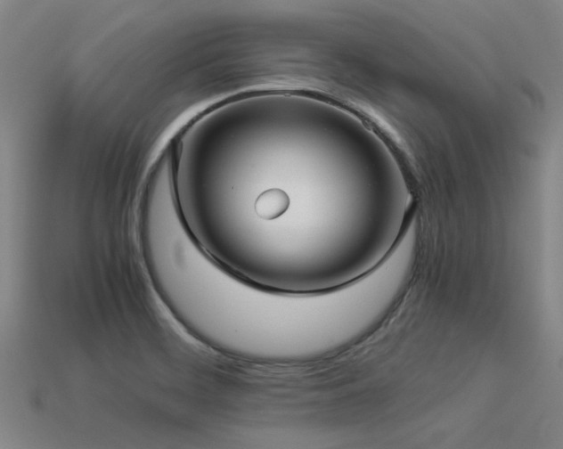 X0000113291468200909141154