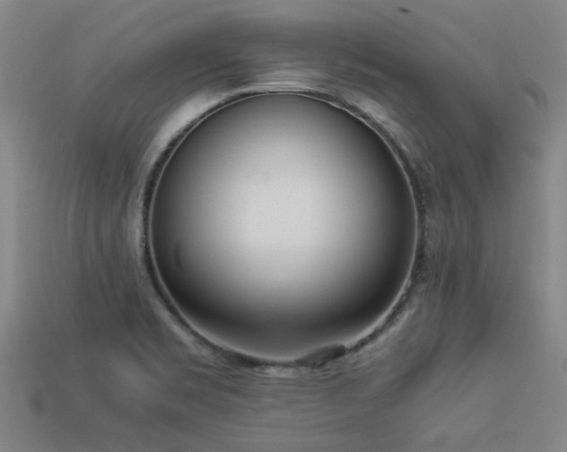 X0000113291469200909141154