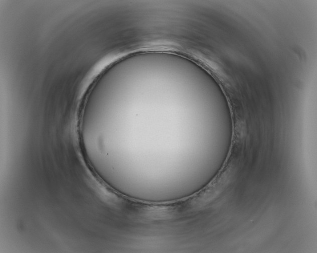 X0000113291470200909141154