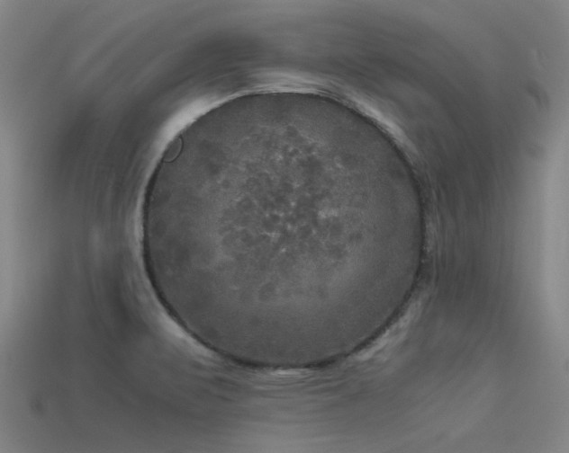 X0000113291471200909141154