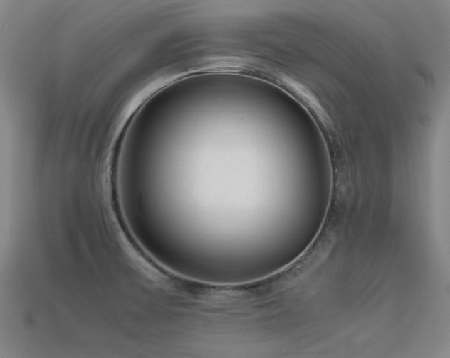 X0000113291475200909141153