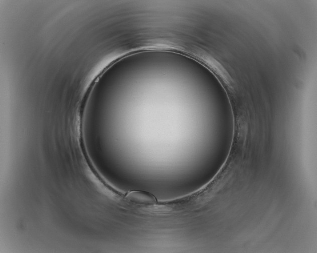 X0000113291476200909141153