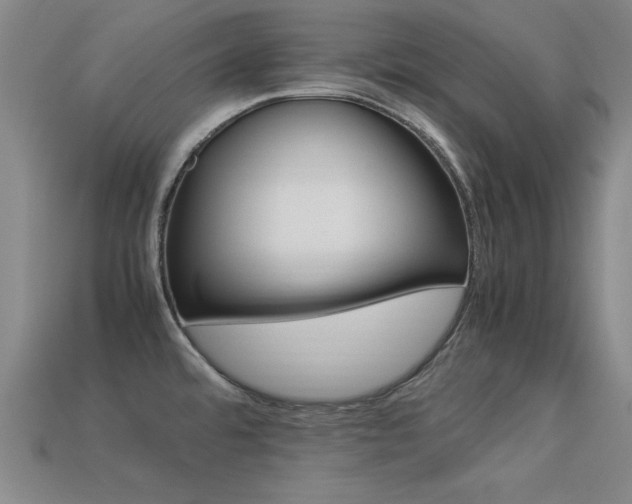 X0000113291480200909141153