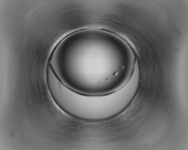 X0000113291484200909141153