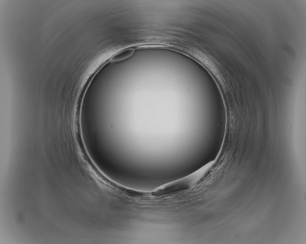 X0000113291485200909141153