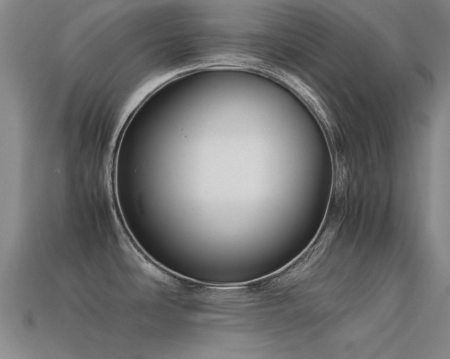 X0000113291486200909141153