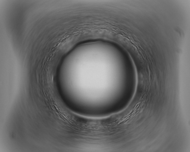 X0000113291489200909141153