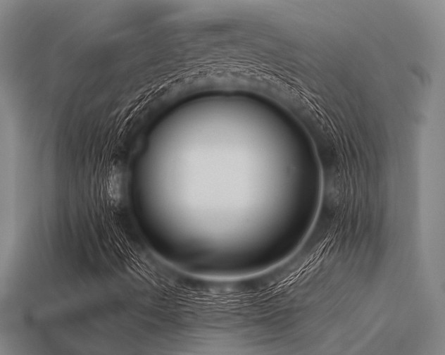 X0000113291490200909141153