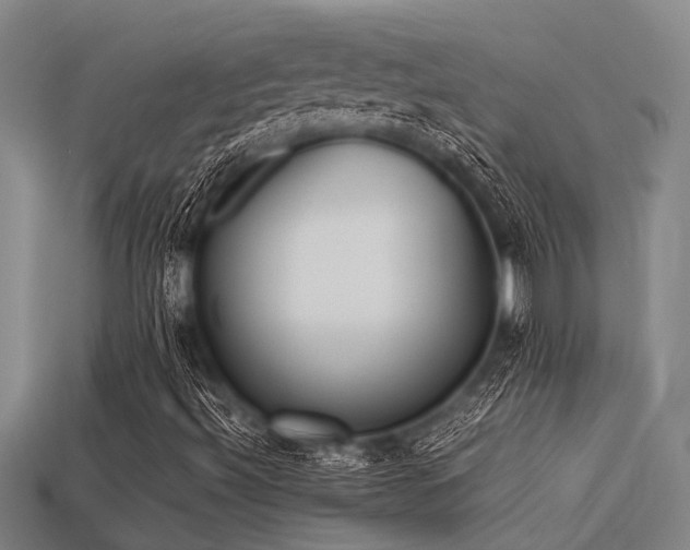 X0000113291492200909141153