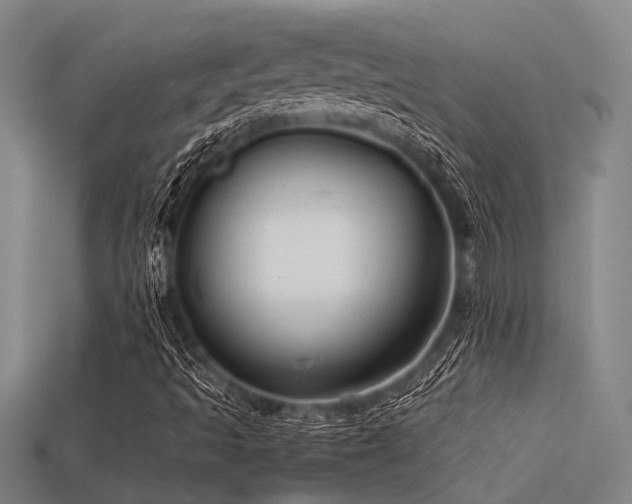 X0000113291493200909141153