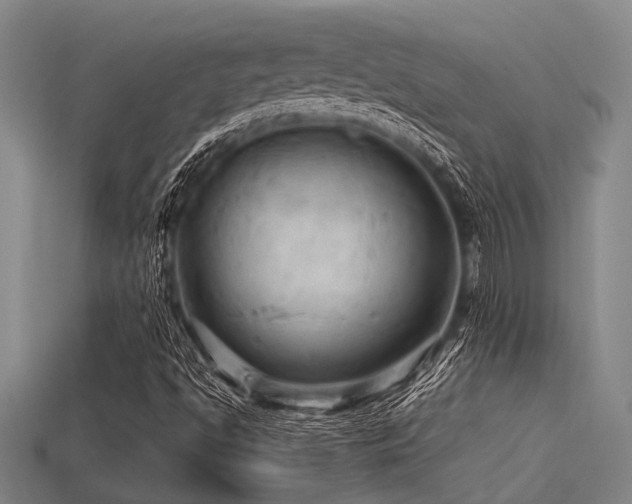 X0000113291494200909141153