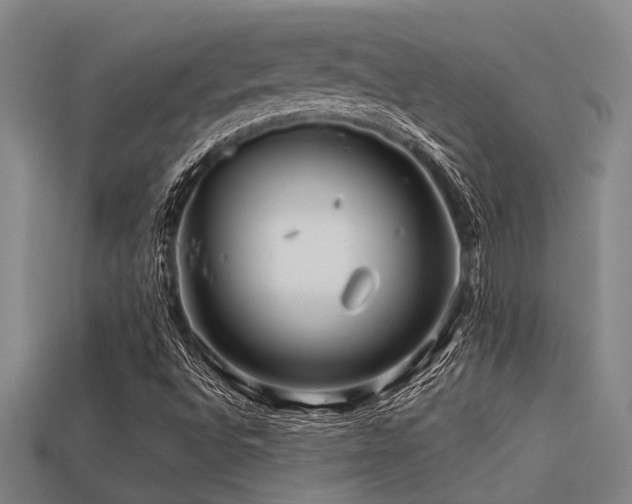 X0000113291496200909141153