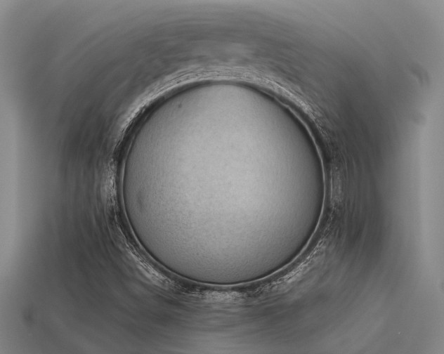 X0000113291498200909141153