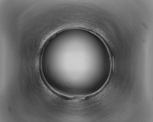 X0000113291500200909141153