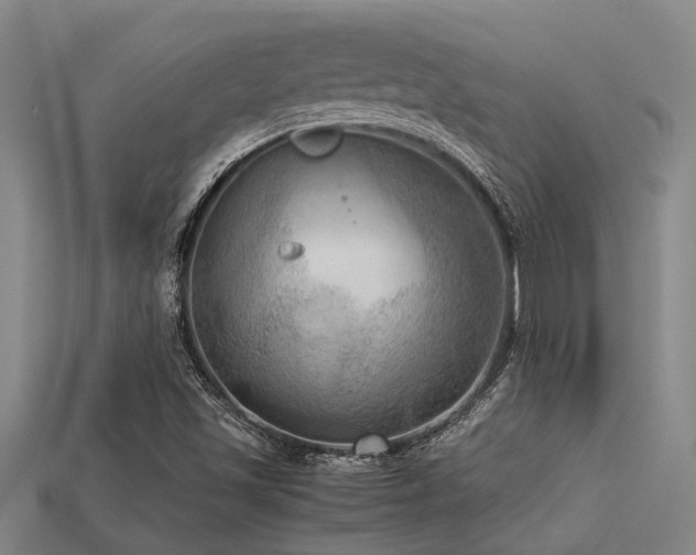 X0000113291501200909141153