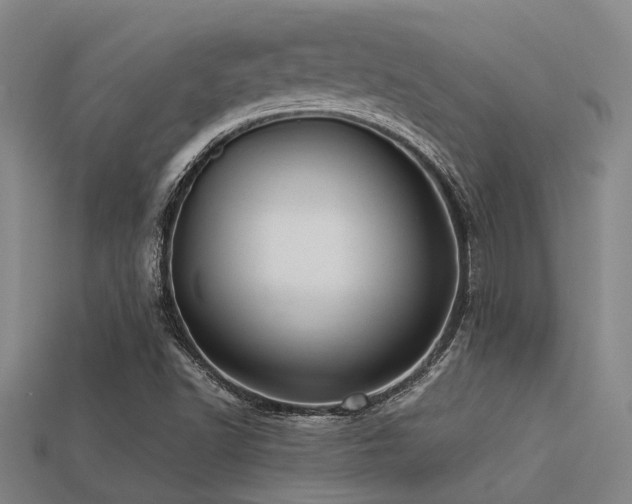 X0000113291502200909141153