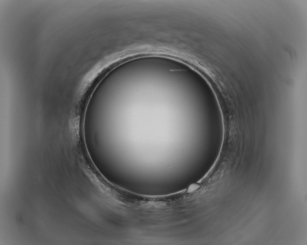 X0000113291503200909141153