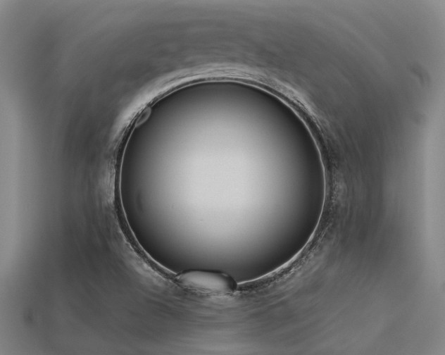 X0000113291504200909141153