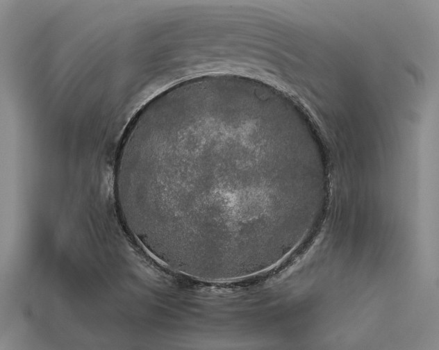 X0000113291505200909141153