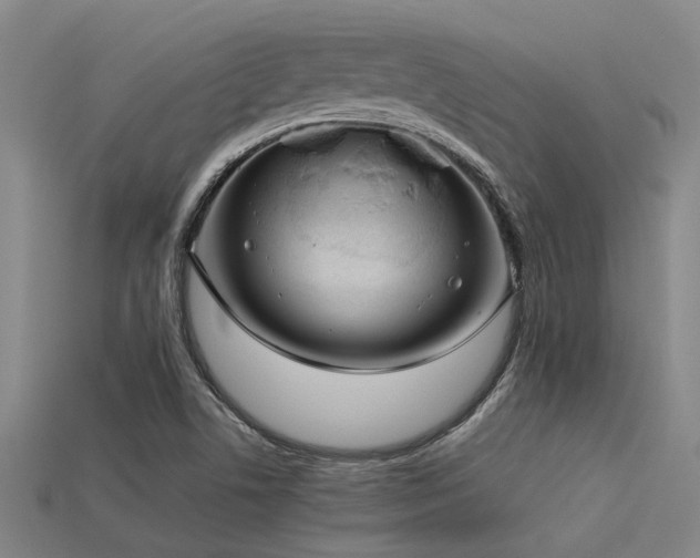 X0000113291506200909141153