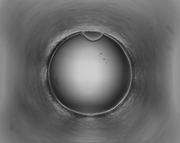 X0000113291507200909141153